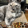 出張終わってやっと週末