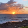 Freshwater beach & Manly Beach