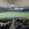 都市対抗野球大会2023  JFE西日本 vs SUBARU (1塁側エキサイトシート) in 東京ドーム