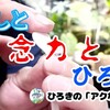 僕の癒しの場所♪その場でメダカの卵の観察!!針子掬いのスプーンを曲げてみます。
