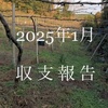 収支と金融資産（25年1月）