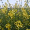 散歩～♪