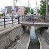 曇り空、昼から雨になりました。今日の散歩は権現川