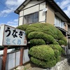 うまい鰻を食べたくて食べたくて・・・・食べた