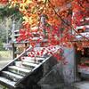 「熊谷寺」多宝塔の紅葉