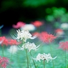 ちゃんと歯磨きをしているのに虫歯になりやすい理由