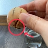 40日目：つ、ついに！！！！