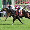 京都競馬場へ行った来ました (2025/4/27)