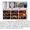 小惑星探査機「はやぶさ2」の記者説明会（サンプル初期分析論文の「Science」誌掲載）