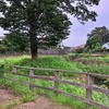 宇田川を歩く