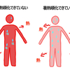 暑熱順化に関する雑学！