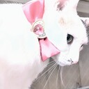 魔法微少女ぽぽよんの日記