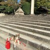 まめ子は最後までまめ子様だった（犬三周忌）