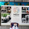 #上野動物園140周年#始まりはいつも上野から