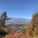 野生の思考