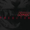 Accept「Predator」