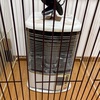 火の取り扱いには注意が必要やけどストーブが一番暖かいです。