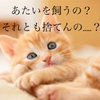 猫を飼っても大丈夫？🐱ガチ解析👀結果が爆笑！🤣