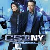 CSI:NY　S9　#6　タートル池のプリンセス　The Lady in the Lake