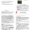 週報