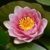  【内藤大助】