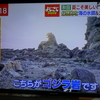 島根県大田市（おおだし）　怪獣岩