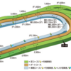 第303R　東京競馬　府中牝馬S（GⅡ）