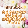 【物事を知る】たくさん知るか、深く知るか、価値があるのはどっち？