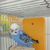 お正月のインコ