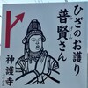 【愛知県南知多町】神護寺