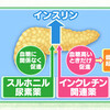 糖尿病　進歩する治療法