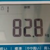 87.4kgから始めるダイエット４２日目
