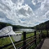 R5..9/03dragon fly nishioka park。