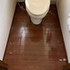 Tomのリフォーム　－トイレの修理　その２ー