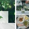 モリンガから生まれた「MORINGA CLEANSE」