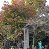 【散歩】秋の高尾山に行ってきました