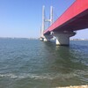 シーバスフィッシング30 銚子大橋〜銚子漁港
