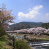  桜咲く春の箱根をドライブPart2 箱根 宮城野 早川の桜〜大平台