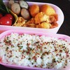 長女初弁当