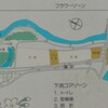  小貝川ふれあい公園のコスモス（下妻市）～つくば市とその周辺の風景写真案内（１１８６） 