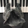 ピアノ発表会にて