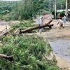 森は人を守る　〜台風６号からの気づき〜