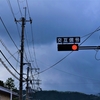 普通免許から大型免許取得への道③【初乗車】
