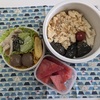 朝の虫たちが選手交代🪰🦗