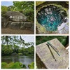 柿田川公園へ。