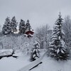 楽しい雪と恐ろしい雪