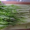 水菜の冷蔵保存方法☆