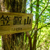 ヒカリゴケの輝きに感動！：恵那 笠置山