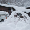 吹雪が去って