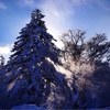 北海道 大雪山 旭岳 厳冬期登山